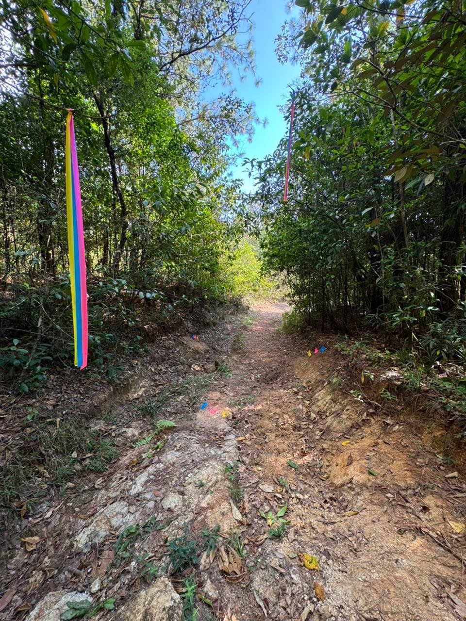 WhatsApp Image 2026-03-21 at 8.29.38 AM (1)