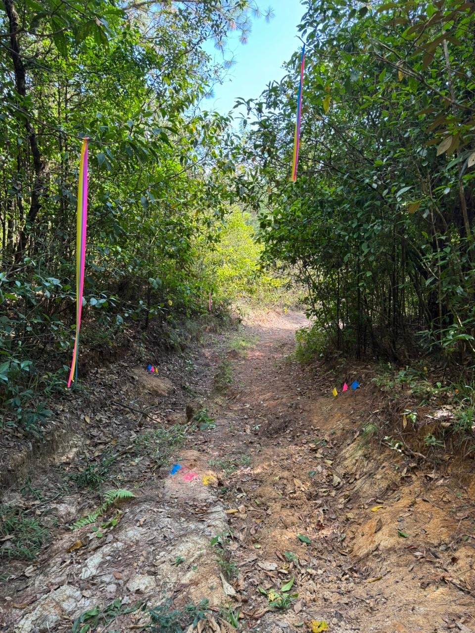 WhatsApp Image 2026-03-21 at 8.29.38 AM (2)